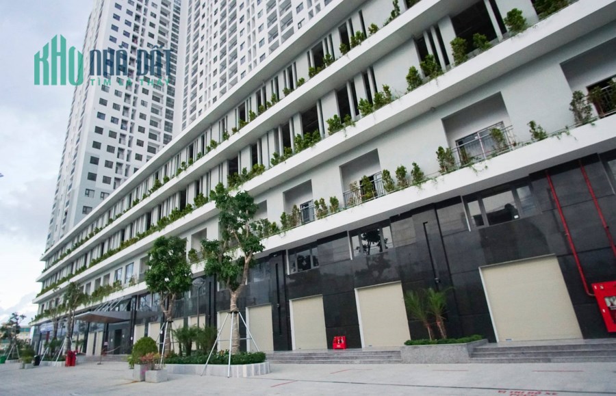 Ecolife Riverside hỗ trợ tài chính một cách tối ưu nhất cho khách hàng sở hữu nhà ở tại Quy Nhơn