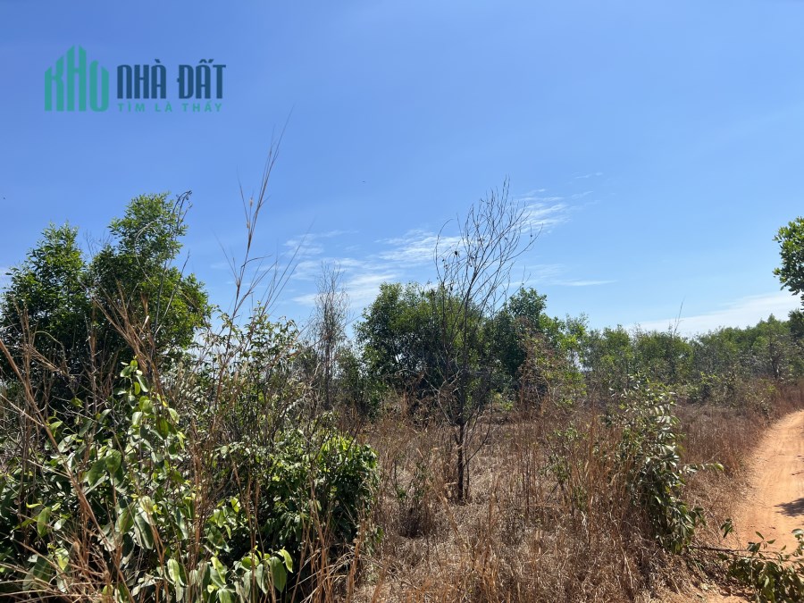 Tân Tiến Lagi 1,4 ha chỉ 5,6 tỷ đất đẹp