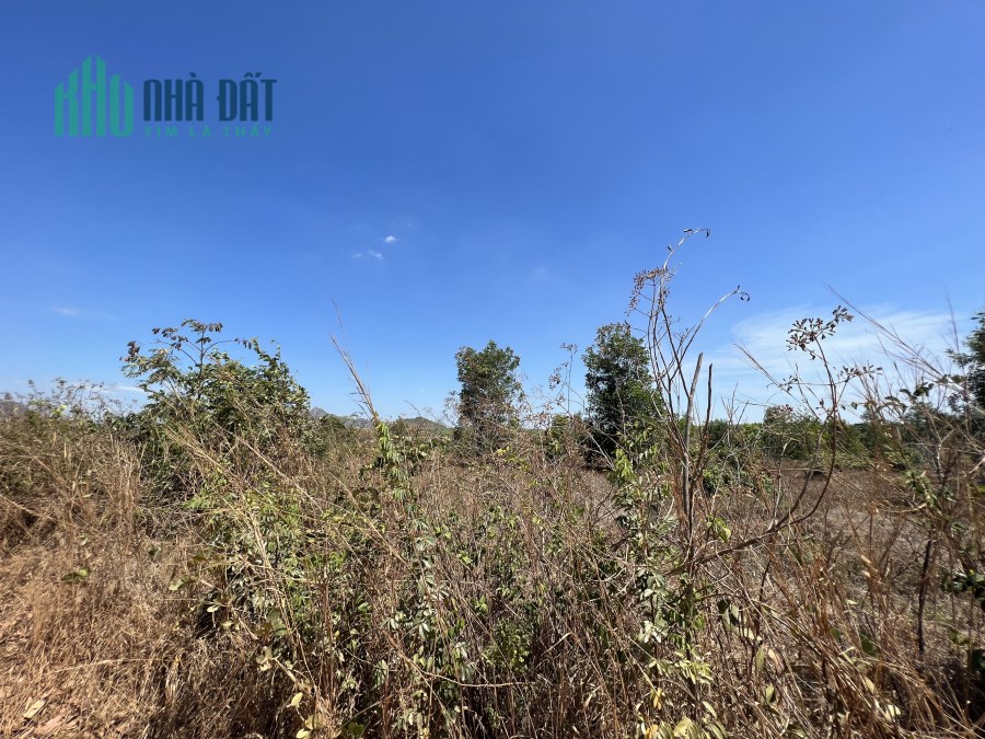 Tân Tiến Lagi 1,4 ha chỉ 5,6 tỷ đất đẹp