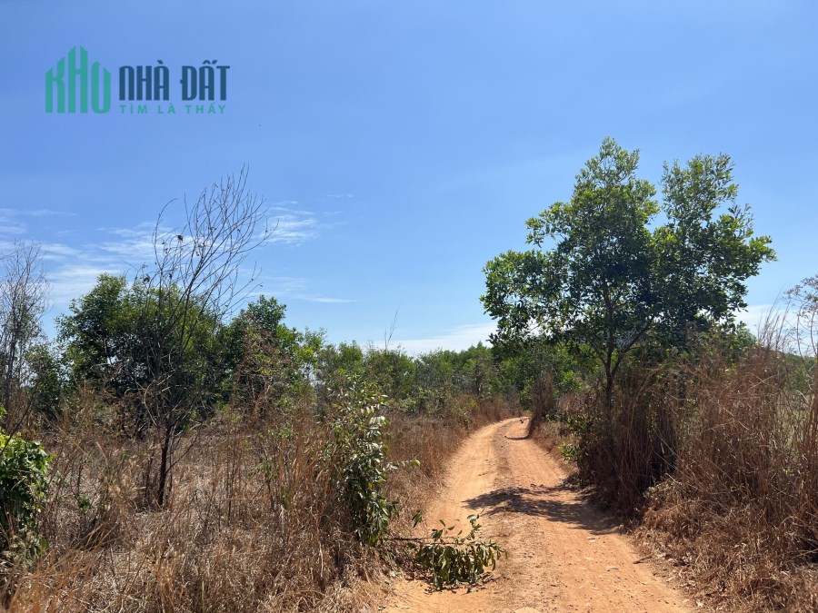 Tân Tiến Lagi 1,4 ha chỉ 5,6 tỷ đất đẹp