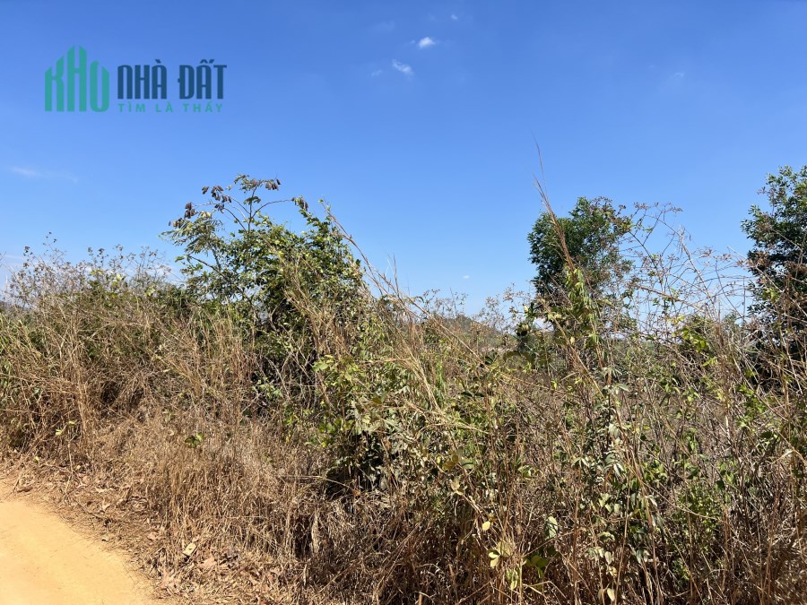 Tân Tiến Lagi 1,4 ha chỉ 5,6 tỷ đất đẹp