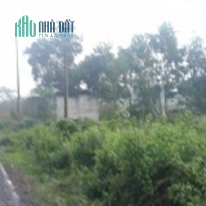 Cần bán lô đất gần 1.8Ha Thạnh Lợi - Bến Lức - Long An