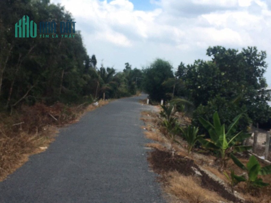 5,8hecta Lộ Mới,thị trấn Mỹ Phước,Tân Phước,Tiền Giang