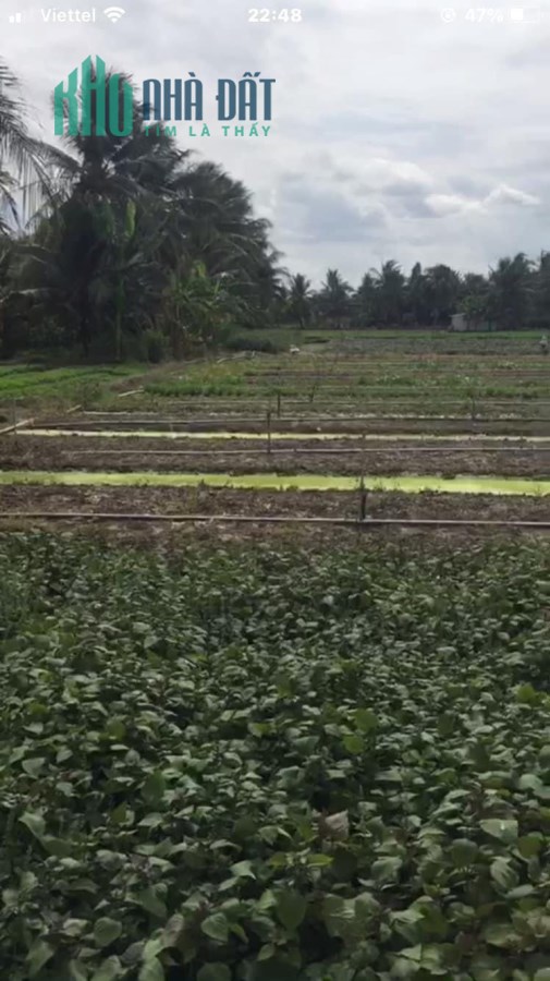 2,9công đất ấp Thạnh Hưng, Thạnh Phú,Châu Thành,Tiền Giang