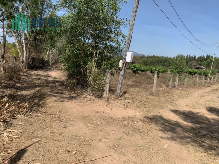 Đất Tân Xuân 1 mẫu 3,5 tỷ 200m, đường Hàm Tân