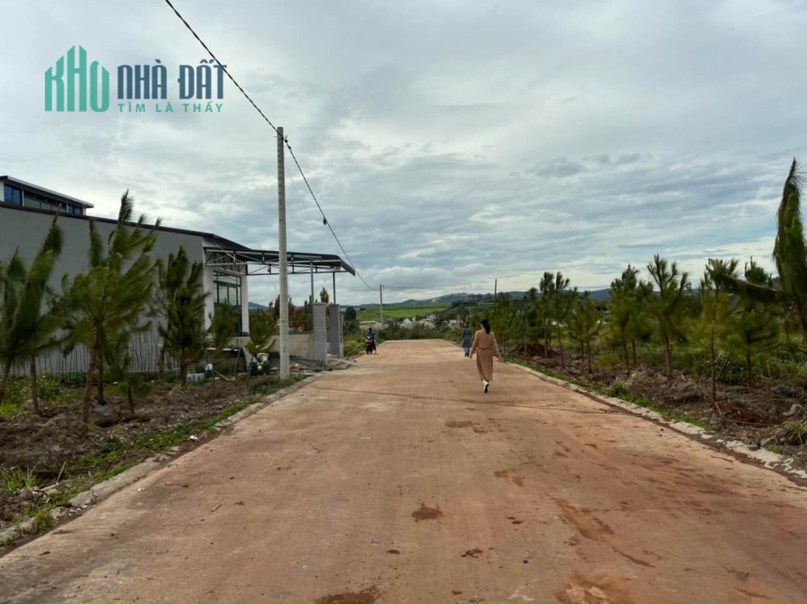 Bán đất 590 Triệu 6x20m Đường bê tông 7m tại Đạ Ròn - Đơn Dương - Lâm Đồng