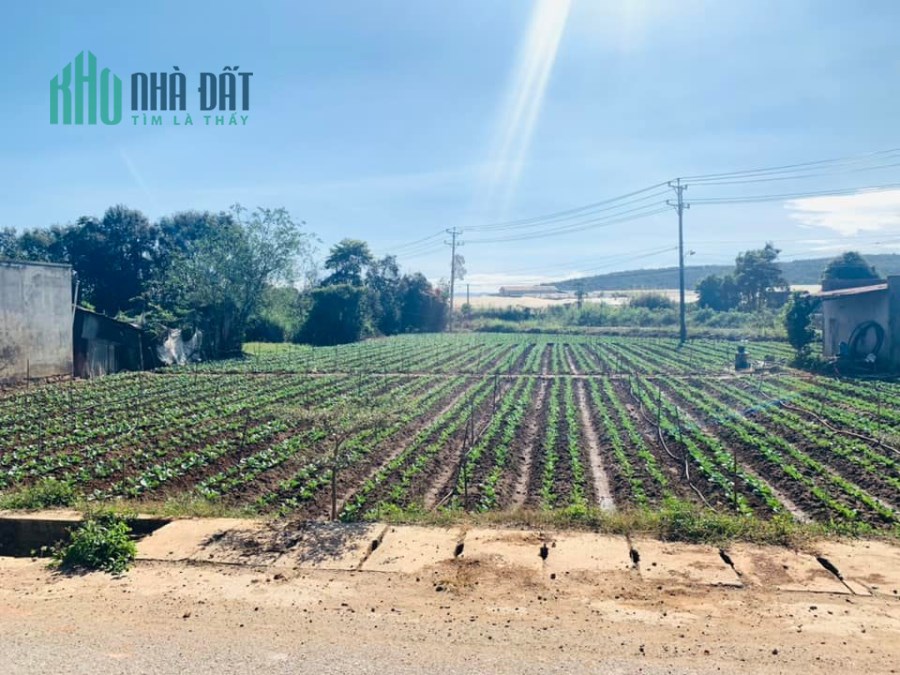Chính chủ cần bán lô đất nghỉ dưỡng vùng ven Đà Lạt - Thị trấn Thạnh Mỹ - Đơn Dương - Lâm Đồng