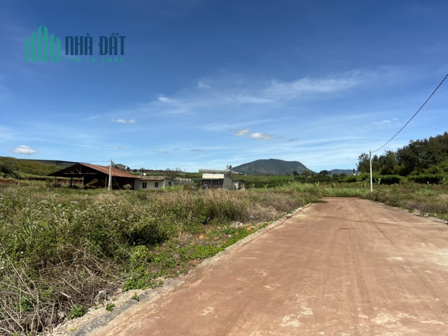 Bán Đất Đạ Ròn 639 Triệu 6x20m Diện Tích 120m2 Đơn Dương - Lâm Đồng (Đất Giáp Huyện Đức Trọng)