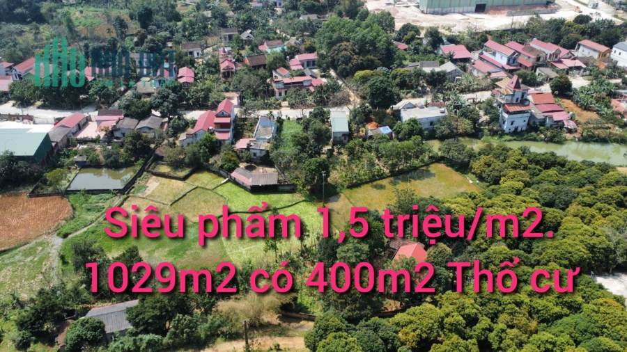 Bán gấp lô đất 1029m2 tài chính hơn tỉ view cực đẹp tại Thạch Khoán , Thanh Sơn, Phú Thọ.