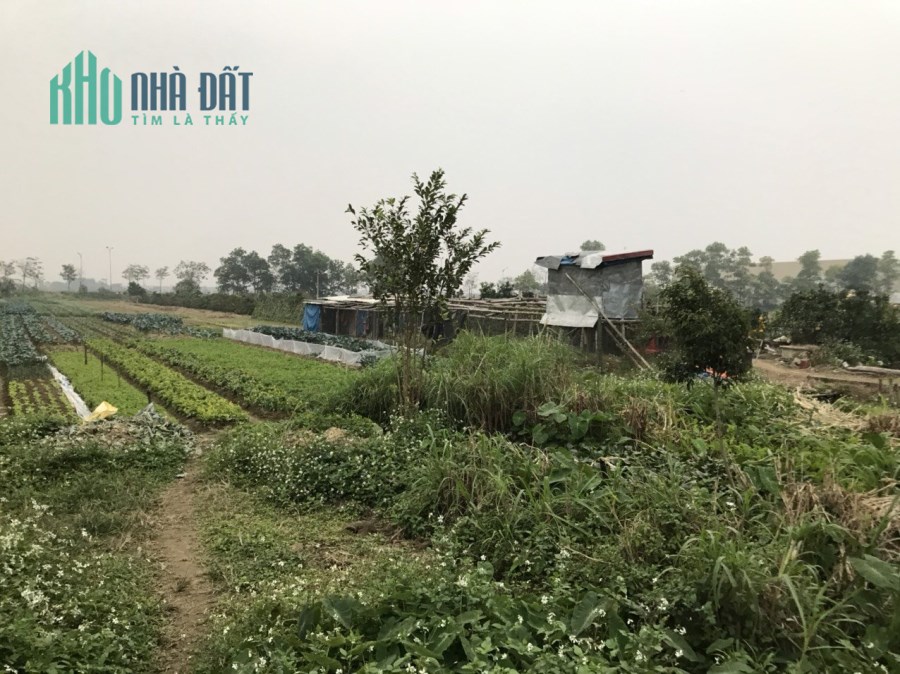 Bán mảnh đất dự án bệnh viện đa khoa tại quận Thanh Xuân Hà Nội.