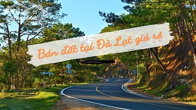 Cần bán 1120,71 M2 đường ô tô 50 chỗ tại TP đà Lạt