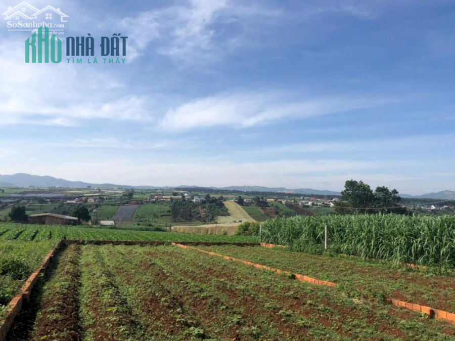 174m2 (100m thổ cư ) &chỉ dưới 800tr Mặt tiền đường bê tông hiện hữu 7m