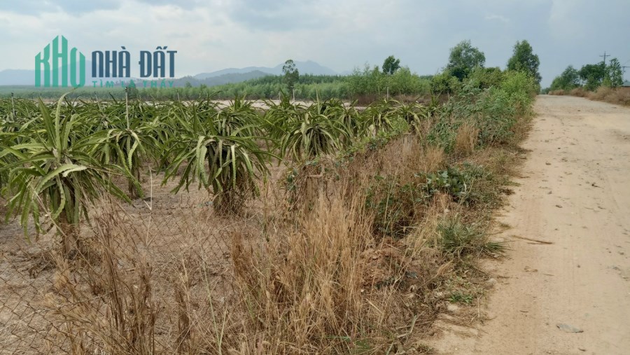 Tây Sơn Tân Tiến Lagi 3,2 mẫu 8 tỷ/ mẫu