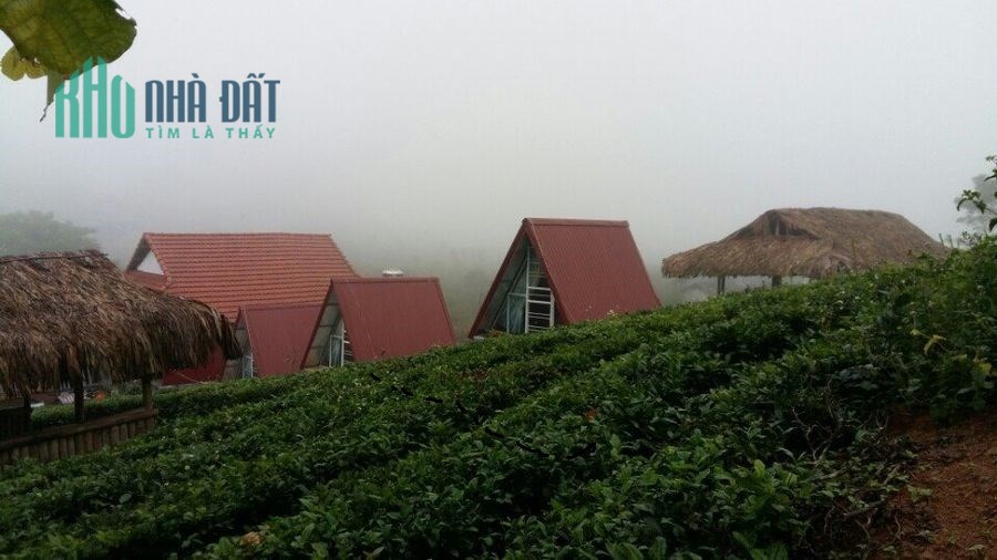 Cần bán mảnh đất gần 2000m2 tại thị trấn Nông trường Mộc Châu thích hợp đầu tư sinh lời