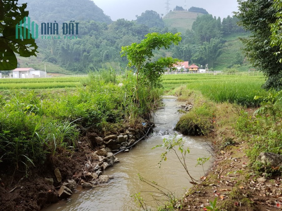 Cần bán mảnh đất gần 2000m2 tại thị trấn Nông trường Mộc Châu thích hợp đầu tư sinh lời