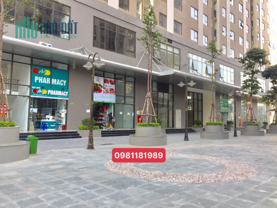 KIOT khối đế IEC Tứ Hiệp DT 41.97m2, MT 3.8m. Giá chỉ từ 2 tỷ. LH 0981181989