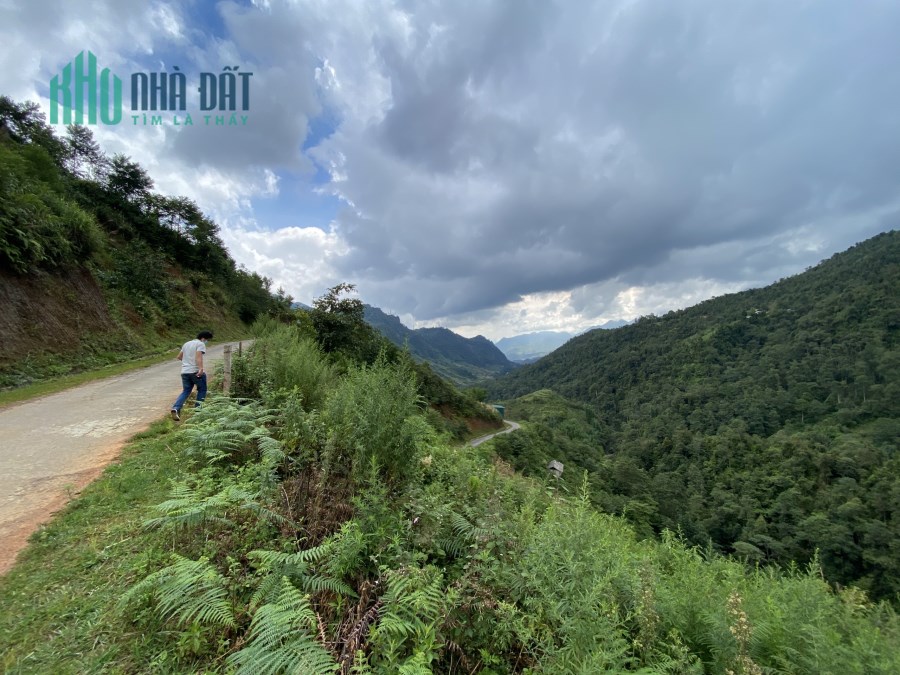 Mảnh đất gần 2000m2 tại trung tâm Sapa phù hợp kinh doanh homestay/farmstay