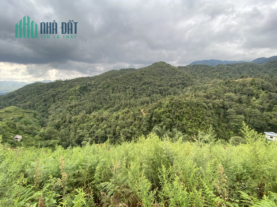 Mảnh đất gần 2000m2 tại trung tâm Sapa phù hợp kinh doanh homestay/farmstay
