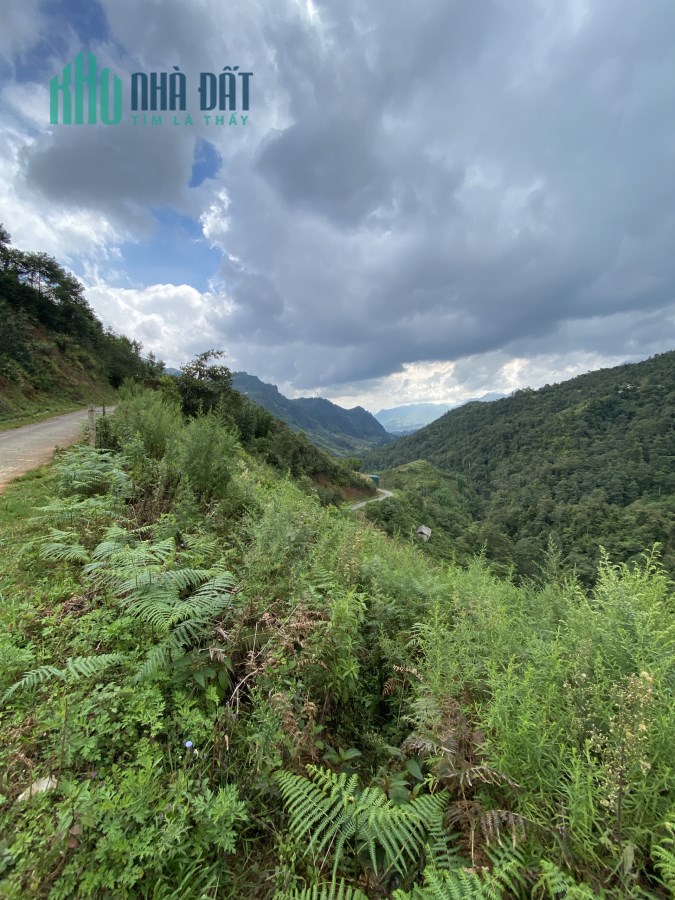 Mảnh đất gần 2000m2 tại trung tâm Sapa phù hợp kinh doanh homestay/farmstay