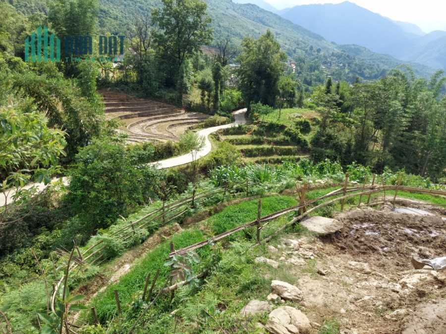 Bán mảnh đất 1500m2 tại Y Tý