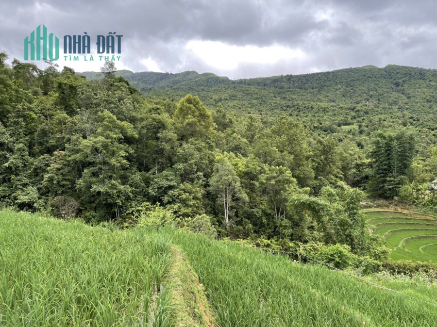 Bán mảnh đất 1500m2 tại Y Tý