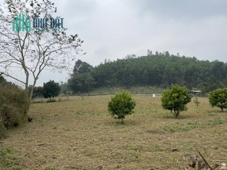 Bán đất thị trấn Mãn Đức Tân Lạc HB. Lô góc 2 mặt tiền đường 2 oto tránh, giá hơn 1tr/m2