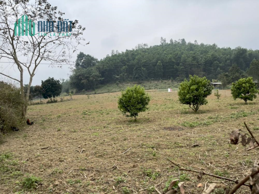 Bán đất thị trấn Mãn Đức Tân Lạc HB. Lô góc 2 mặt tiền đường 2 oto tránh, giá hơn 1tr/m2