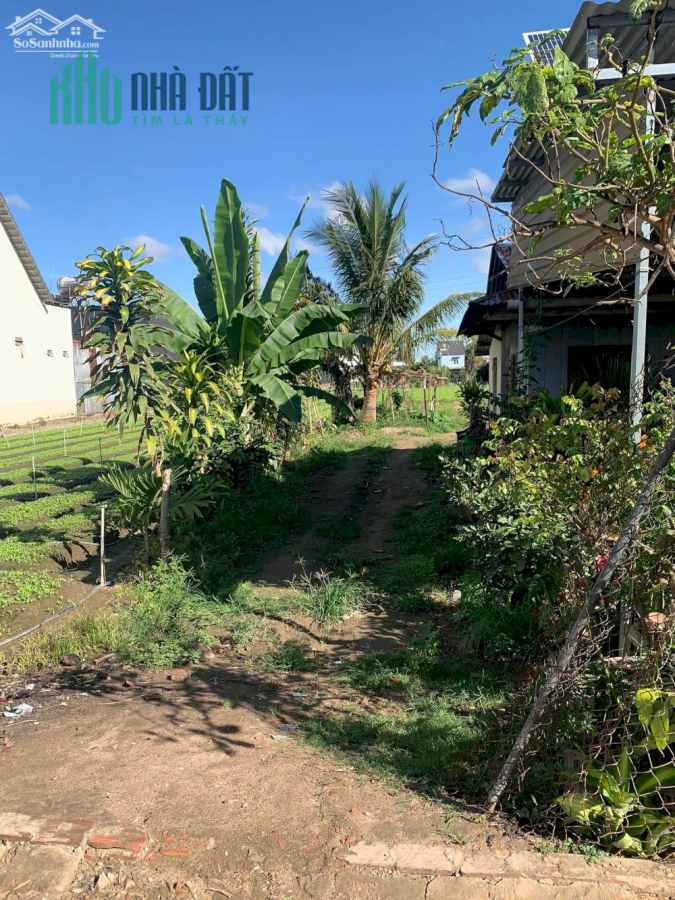 Lô đất nền 5x57 (thổ cư 100m) đức trọng