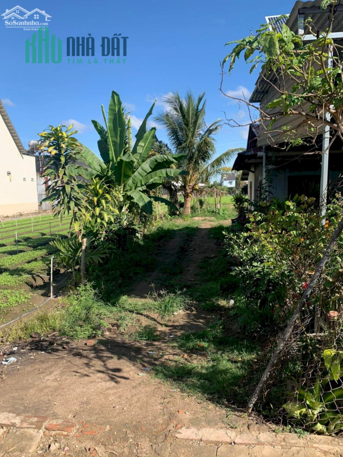 Lô đất nền 5x57 (thổ cư 100m) đức trọng