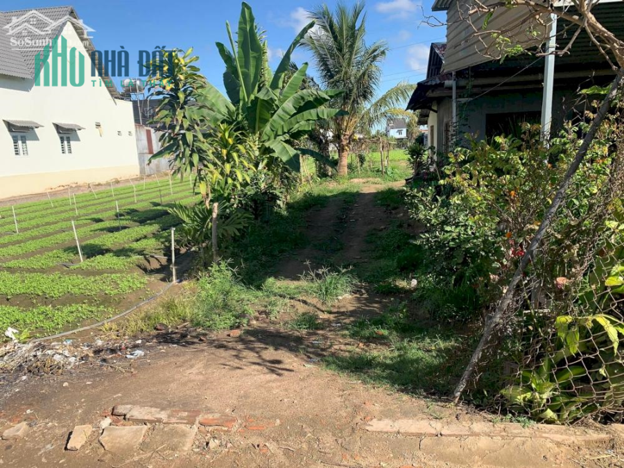 Lô đất nền 5x57 (thổ cư 100m) đức trọng