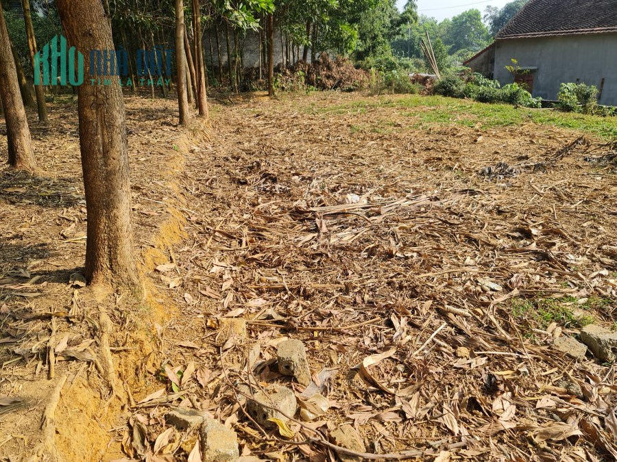 Bán gấp lô đất gần ngay trục chính phú mãn 170m2 Giá đầu tư .