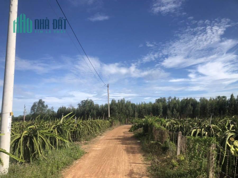 Tân Xuân Hàm Tân 3 mẫu 22 tỷ đường nhựa UBND xã