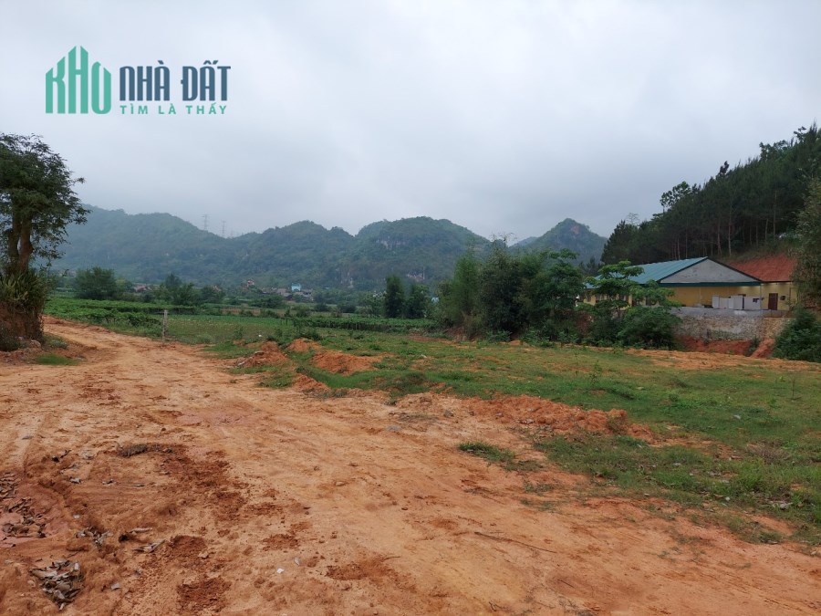 Bán 2.5ha đất Mộc Châu thích hợp làm homestay, trang trại