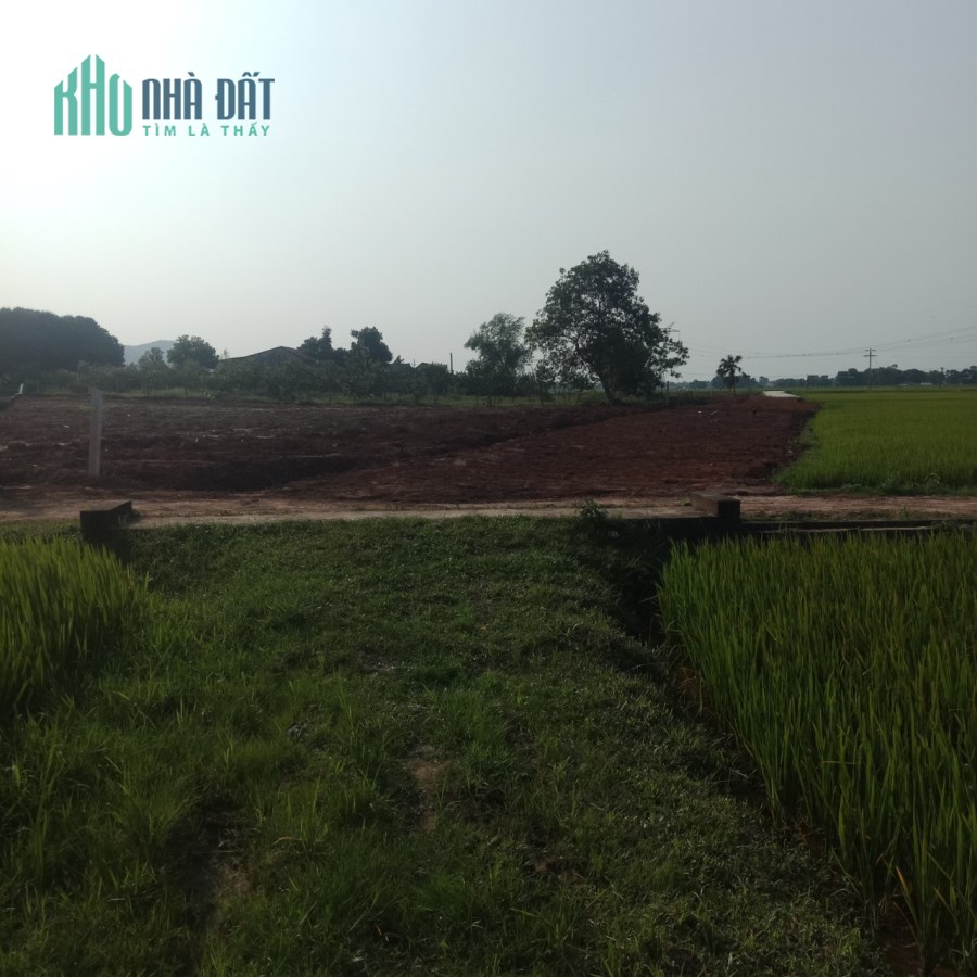 Chính chủ bán nhanh lô đất 4950m2 tại Xã Nam Hương, Thạch Hà, Hà Tĩnh, Giá tốt
