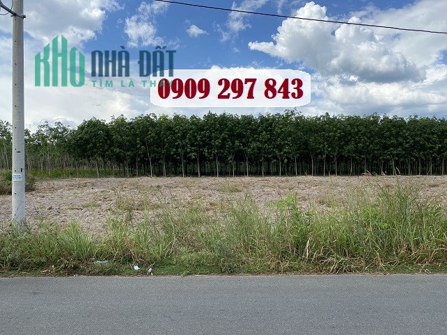 Đất thị trấn Lai Uyên, Bàu Bàng giá rẻ - 0909297843