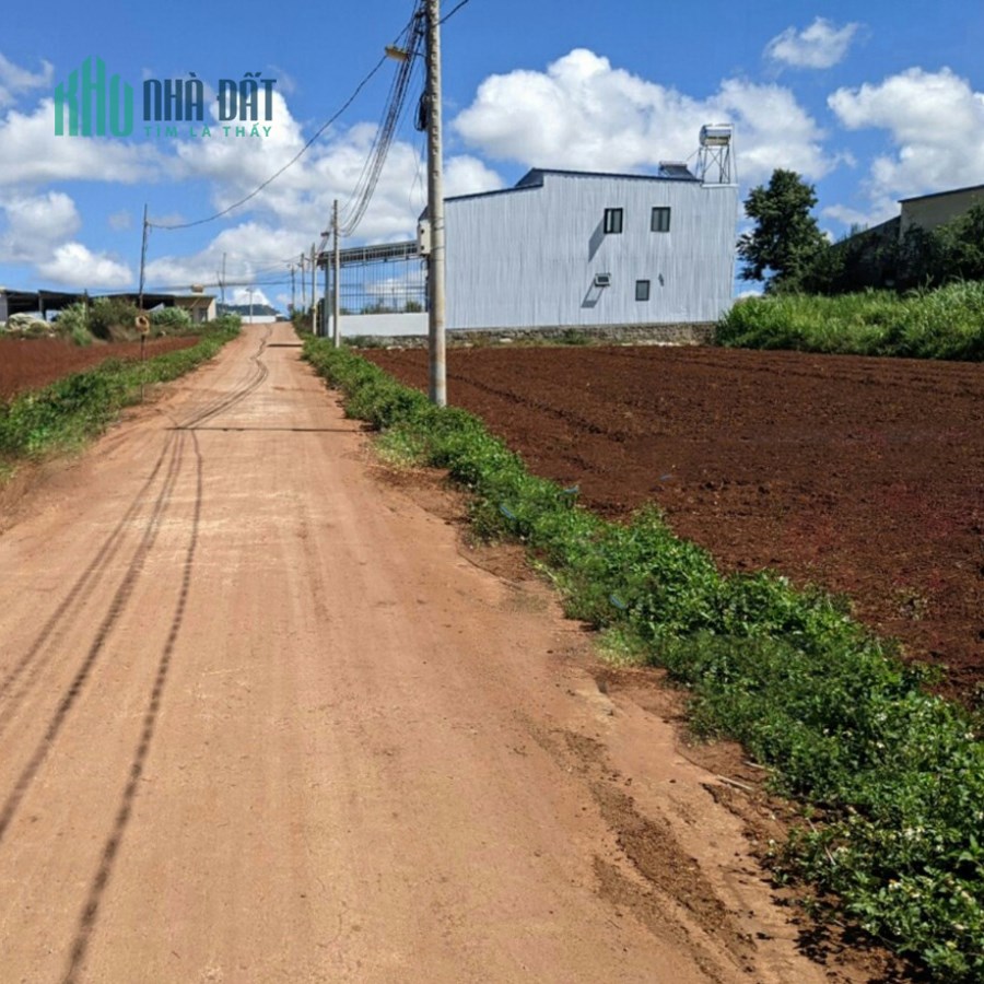 Bán Đất Bồng Lai 800 Triệu 5x23m DT 115m2 Thổ cư 75m2 Đạ Ròn -  Đơn Dương - Lâm Đồng