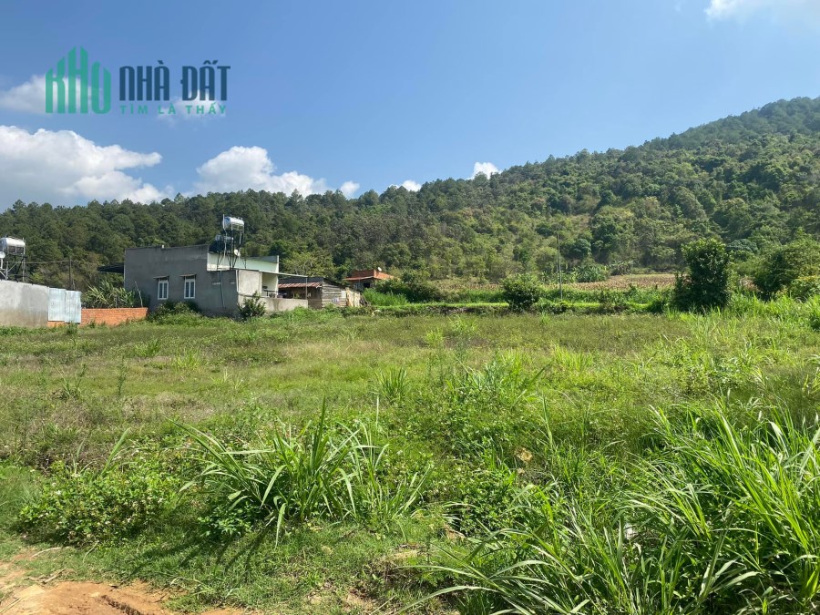 Cần bán đất khu vực Đạ Ròn huyện Đơn Dương tỉnh Lâm Đồng