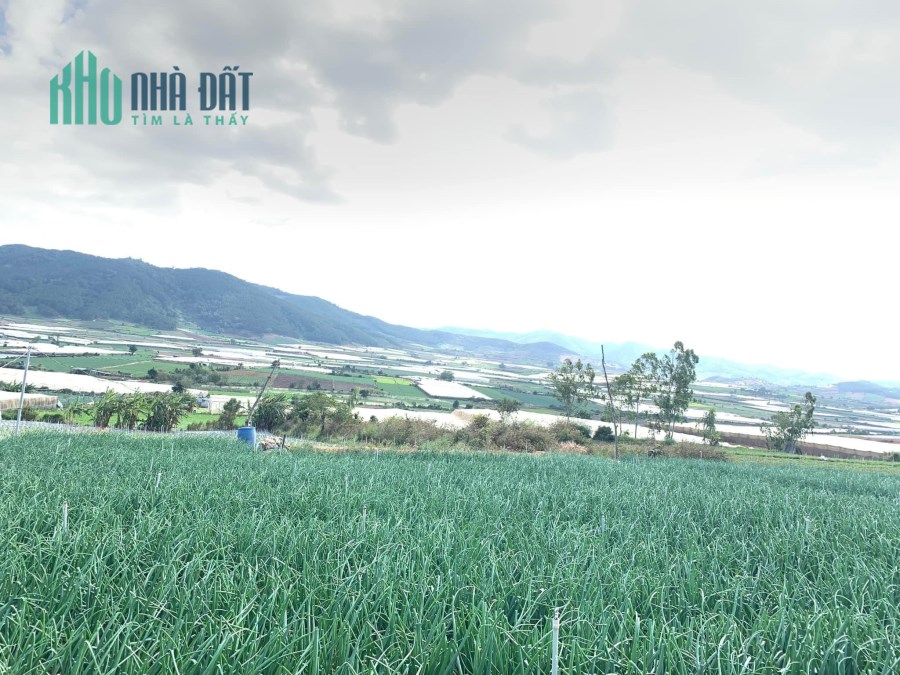Chính chủ cần bán lô đất giá rẻ tại Ka Đơn, Đơn Dương, Lâm Đồng