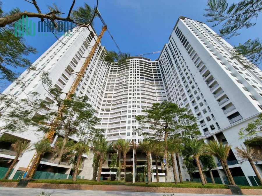 SỰ KIỆN MỞ BÁN LỚN NHẤT NGÀY 23/4 CHUNG CƯ TECCO DIAMOND CƠ HỘI SỞ HỮU CĂN HỘ CHỈ 1,746TR 2PN 2WC