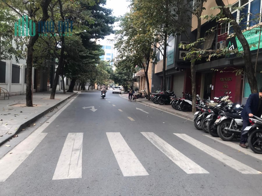 Bán nhà Hoàng Cầu vị trí đẹp, Ô Tô tránh, Gần Quận Ủy, 210m2, MT 7,5m, 42 tỷ TL