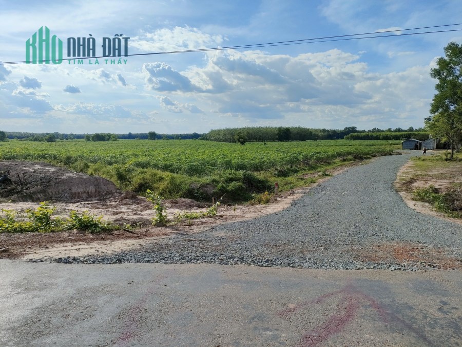 CHÍNH CHỦ CẦN RA ĐI GẤP 23 MẪU PHÁP LÝ CỨNG