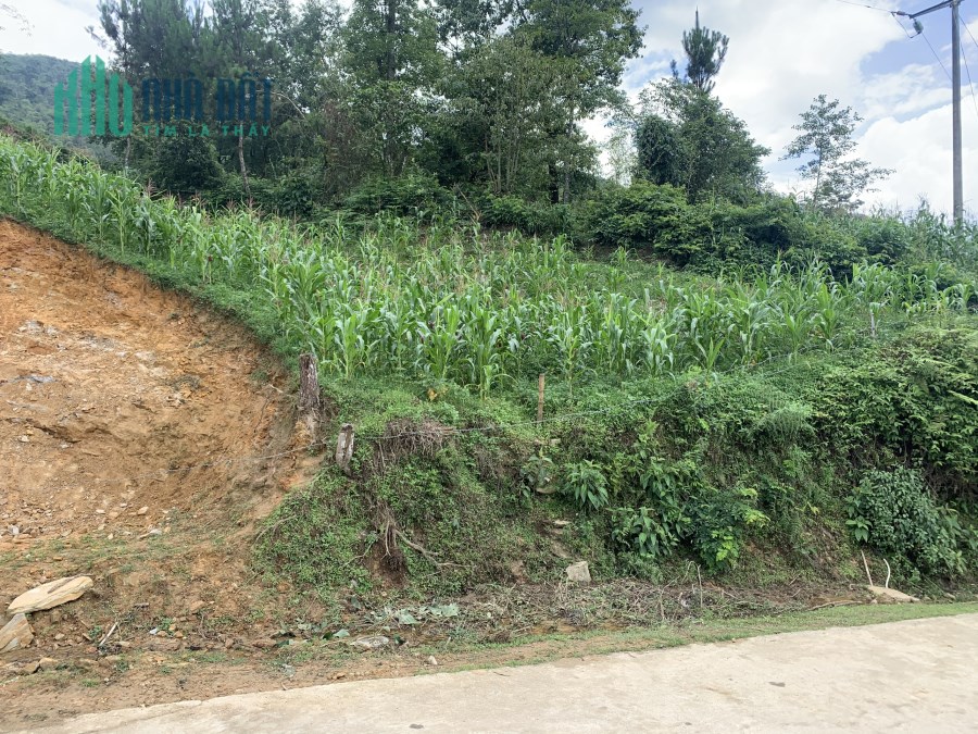 "Mảnh đất hơn 3000m2 tại Ngải Thầu có mặt tiền siêu rộng "