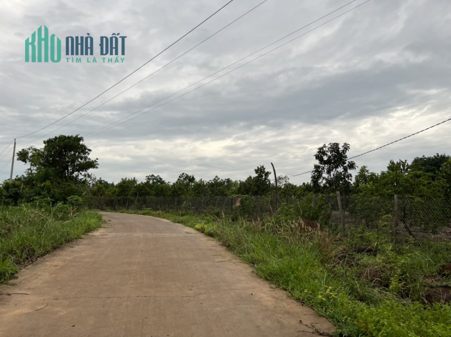 Chính chủ Bán lô đất lộc hai - lộc ninh - Binh Phước
Diện tích: >550m2  (5.8m x 98m)
Thổ cư: 100m2