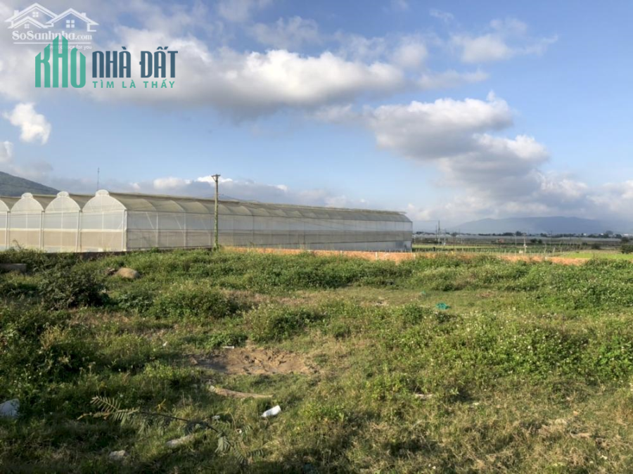 CHÍNH CHỦ CẦN BÁN ĐẤT THỔ CƯ TẠI THẠNH MỸ, ĐƠN DƯƠNG, LÂM ĐỒNG