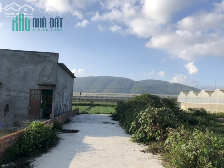 CHÍNH CHỦ CẦN BÁN ĐẤT THỔ CƯ TẠI THẠNH MỸ, ĐƠN DƯƠNG, LÂM ĐỒNG