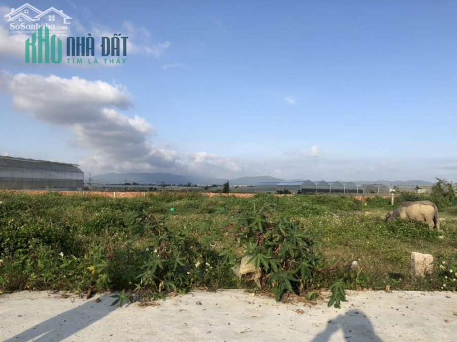 CHÍNH CHỦ CẦN BÁN ĐẤT THỔ CƯ TẠI THẠNH MỸ, ĐƠN DƯƠNG, LÂM ĐỒNG