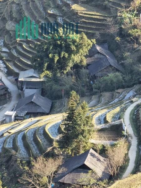 Cần bán mảnh đất gần 1500m2 view ruộng bậc thang cực đẹp