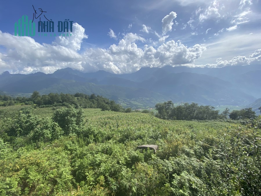 Cơ hội sở hữu mảnh đất hơn 3500m2 tại Ngại Thầu giá đẹp săn mây siêu đỉnh