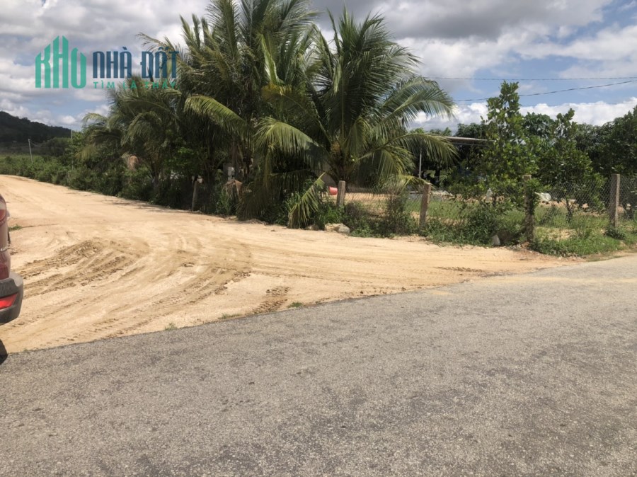 Đường Grao KCN Tân Đức 84x120 125 triệu/m ngang