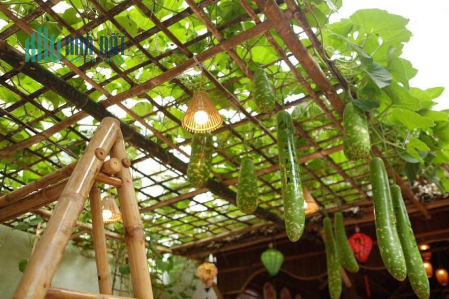 MT Tạ Mỹ Duật, Sơn Trà, 132m2 giá chỉ 13 tỷ